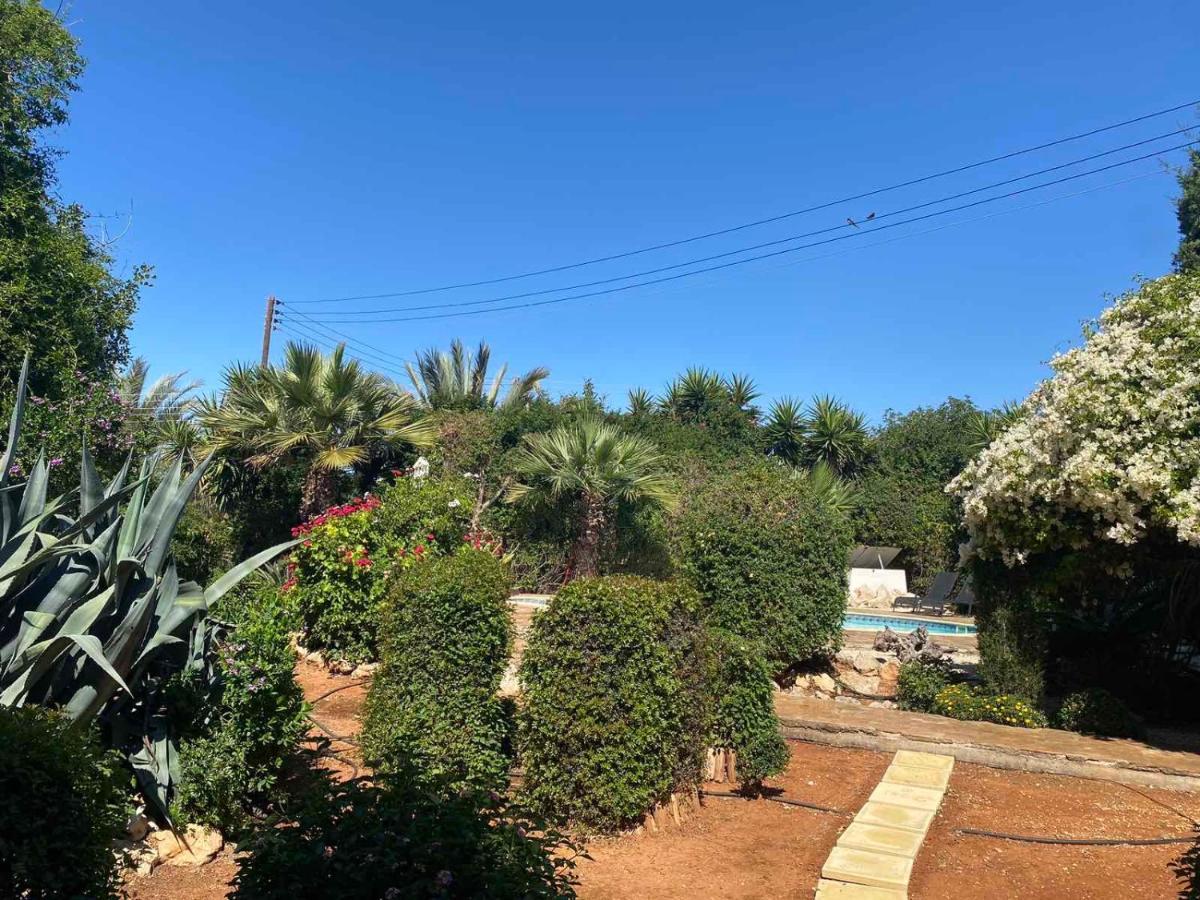 Konnos Villa Protaras Exterior foto